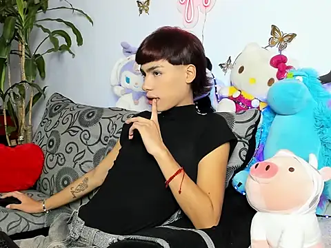 Playboy_andeern Webbikameraesitys