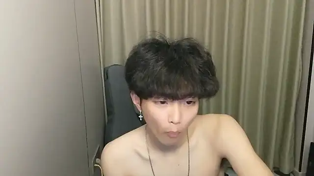 wssoo11 Show Webcam