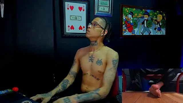 Show webcam de SirRay99
