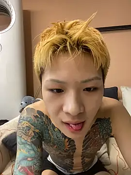 diandian88 Webcam Show