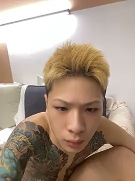 Show webcam de diandian88