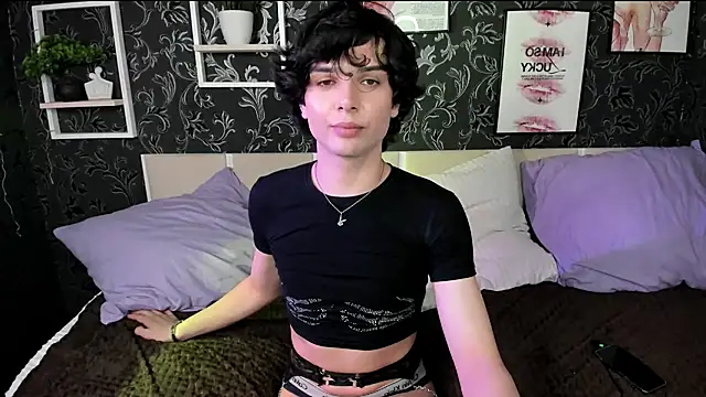 RubyMote Show Webcam