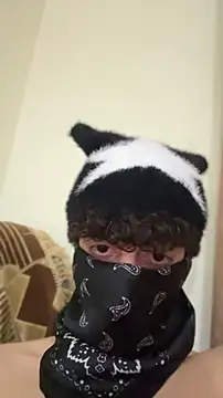 Hz1Trn Webbikameraesitys