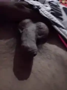 Danielxxx2378 webkamerás műsora