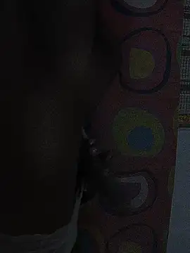 Funseny webkamerás műsora