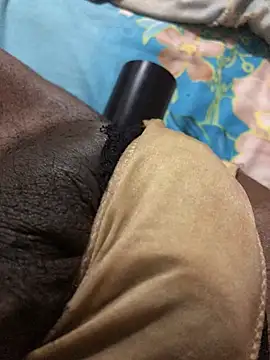 Funseny Pertunjukan Webcam
