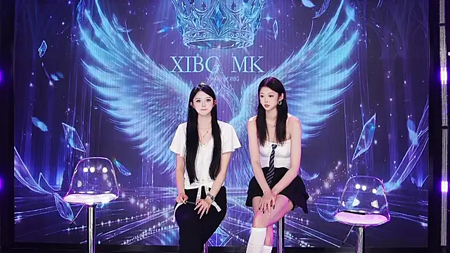 QS-01 网络视讯表演