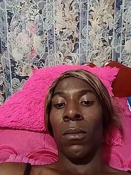 Show Webcam de ameralis31