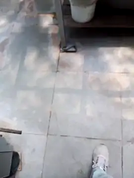 عرض كام Ranibhabhi96