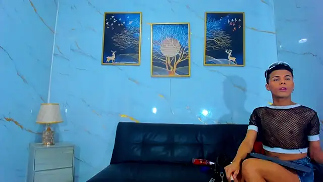 Show webcam de Anthony_little