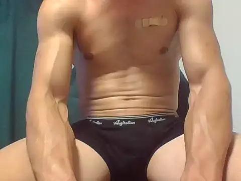 toyboy991 Webcamshow