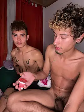 โชว์เว็บแคมของ Dittoandpayton