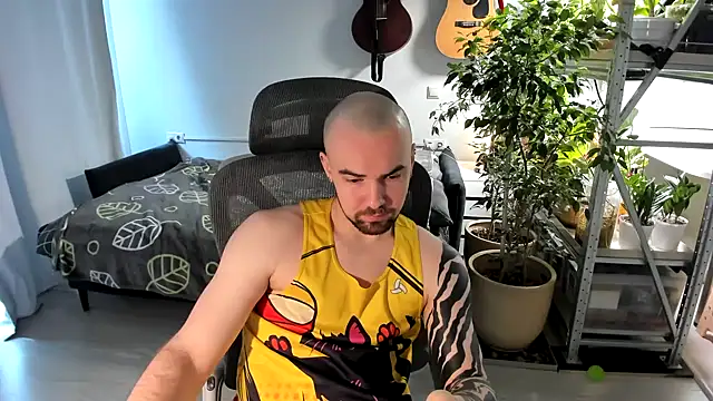 KitteanHardn Webbikameraesitys