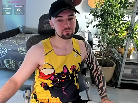 KitteanHardn Webbikameraesitys