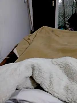 attrasn Webbikameraesitys