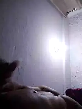 palominooo – webcam-show