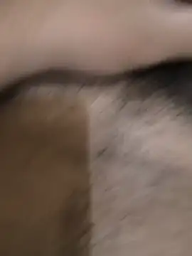 doggyvyのウェブカメラショー