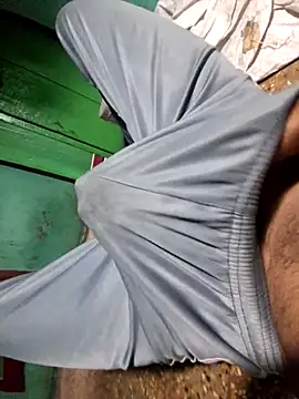 Show Webcam de ILinalover