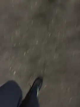 عرض كام dzbenn