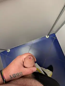 D26austira Webcam-Show