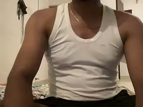 NAVIN0001 Webcam-Show
