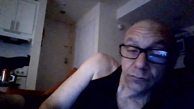 selectricky Show Webcam