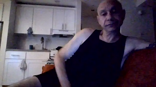 Show webcam de selectricky