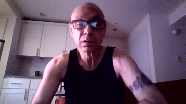 selectricky Webcam-Show