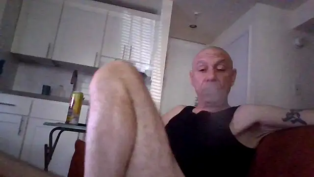 selectricky Webcam-Show