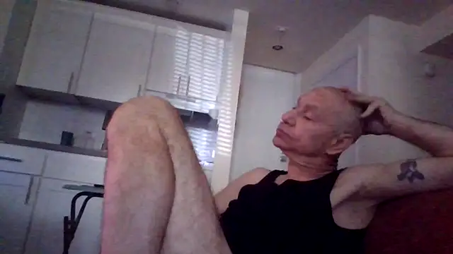 Show Webcam de selectricky