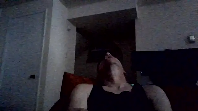 Show webcam de selectricky
