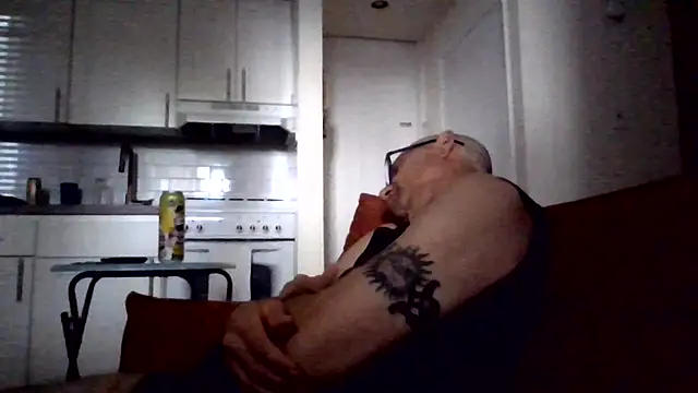Show de webcam de selectricky