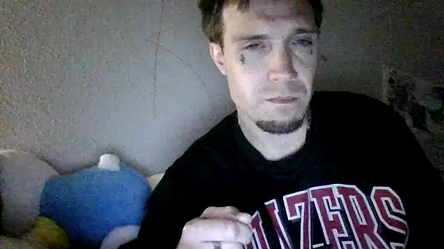 tslayn Webbikameraesitys