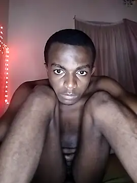 Show Webcam de Lamecj