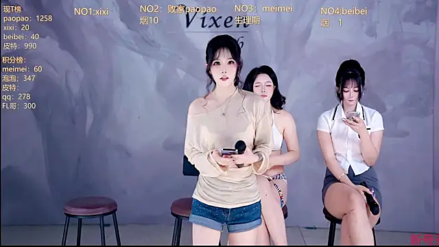 MG_068 Show Webcam