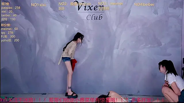 MG_068 Show Webcam