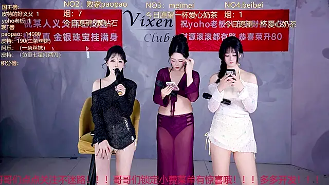 MG_068 Show Webcam