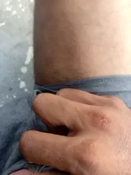 horsebe Webcam Show