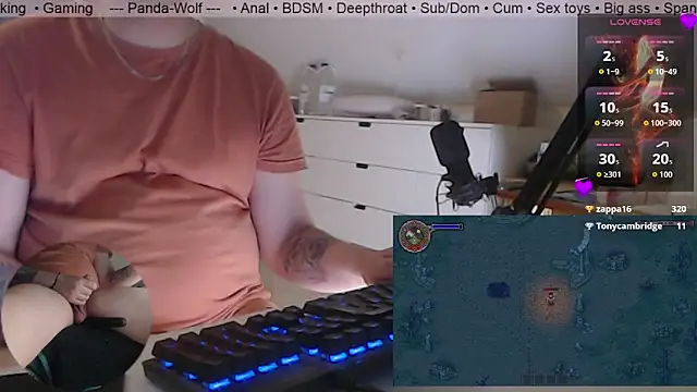 Panda-Wolf Webcam Show