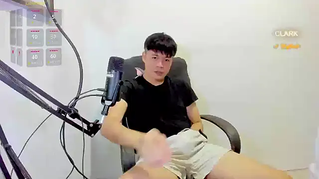 clarkdangerous Show Webcam
