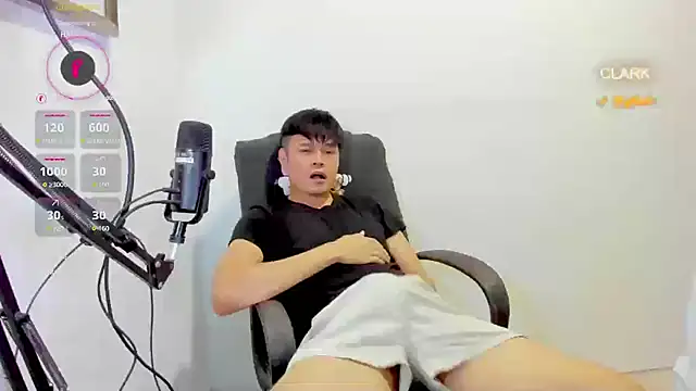 clarkdangerous Webcam show