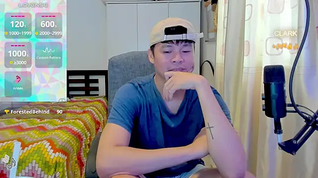 clarkdangerous Show Webcam