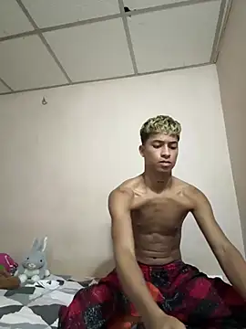 THE_KING_KEY1n Webbikameraesitys
