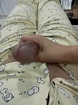 TwisterCloudn Webbikameraesitys