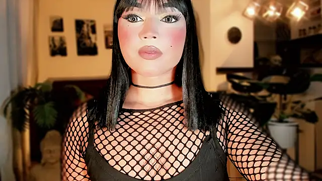 misstreslatin – Kamerová šou