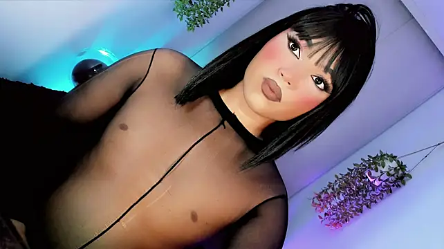 misstreslatinn Webbikameraesitys