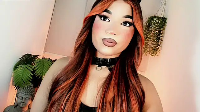 Show webcam de misstreslatin