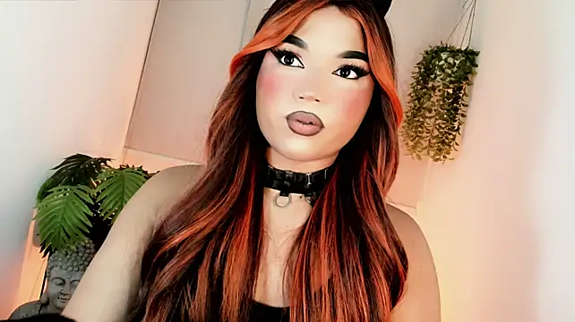 misstreslatinn Webbikameraesitys