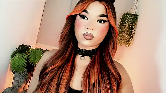 misstreslatinn Webbikameraesitys
