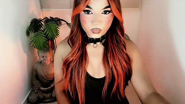 misstreslatinn Webbikameraesitys